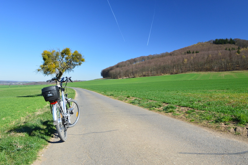 tree, clear sky, bicycle tour, bike, bicycle path, eifel, travel, sunlight, land, plant, cycling, blue, landscape, mode of transportation, sky, day, bicycle