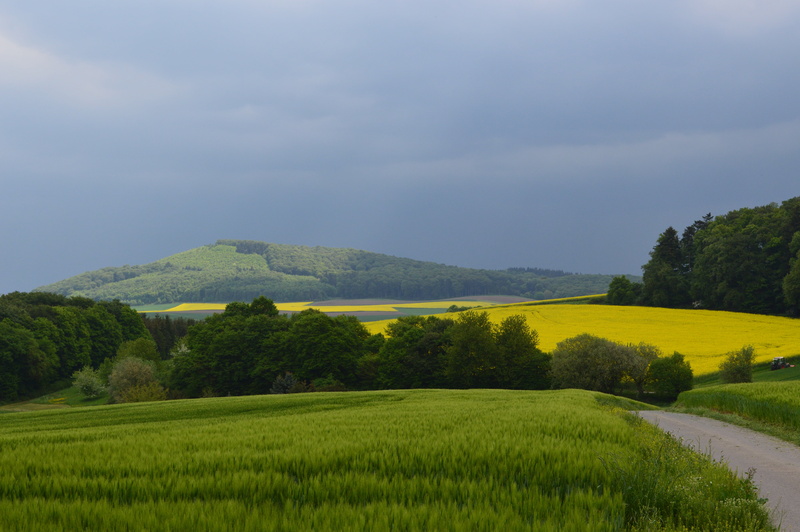 nature, cloud - sky, tree, landscape, east eifel, idyllic, beauty in nature, no people, growth, environment, land, outdoors, tranquil scene, 5K, veit head