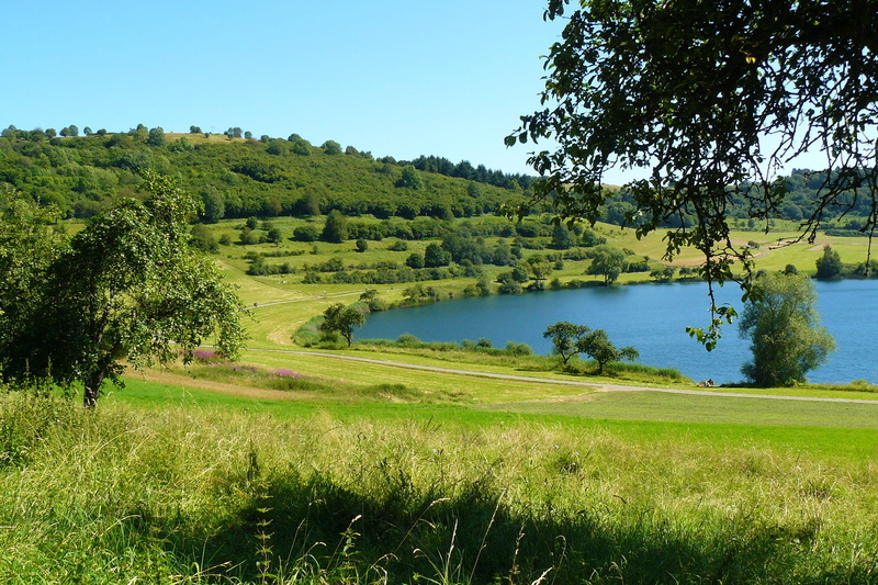 lake, field, growth, promenade, water, no people, day, tranquility, volcano, plant, light, lane, sky, nature, vulkaneifel, tranquil scene, eifel, grass