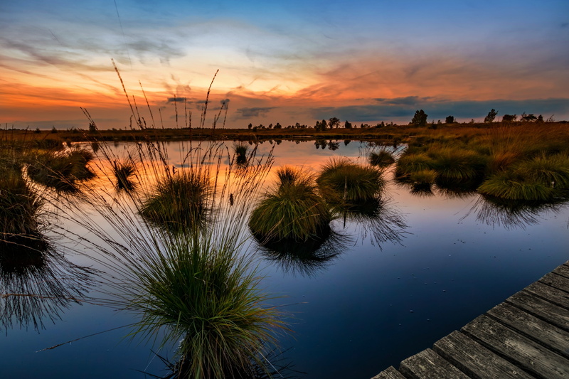 national park, wood - material, sky, reflection, reed, lake, venn, belgium, beauty in nature, scenics - nature, high fens, moorland, moor grass, landscape