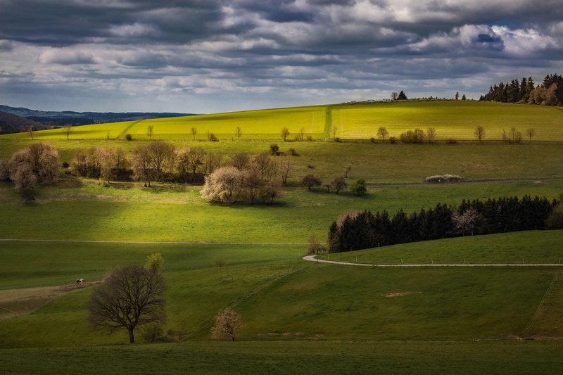 agriculture, wide, clouds, plant, nature reserve, germany, hike, nature, outdoors, tranquil scene, rural scene, landscape, meadow, hiking, cloud - sky