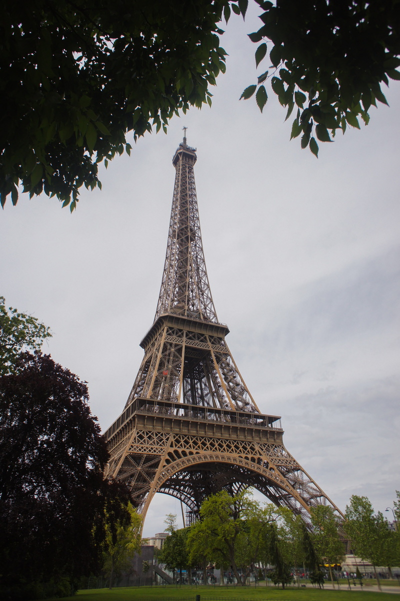 travel, plant, 4K, eiffel tower, historical, europe, travel destinations, low angle view, tourism, paris, nature, sky, parisian, eiffel, tree, monument