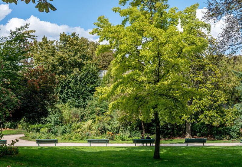 couple, growth, seat, bench, no people, grass, tree, park - man made space, champs elysees, day, tranquil scene, garden, green color, sunlight, outdoors