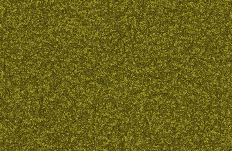 studio shot, color, pattern, full frame, clean, textured effect, background, no people, grass, backgrounds, abstract background, close-up, green background