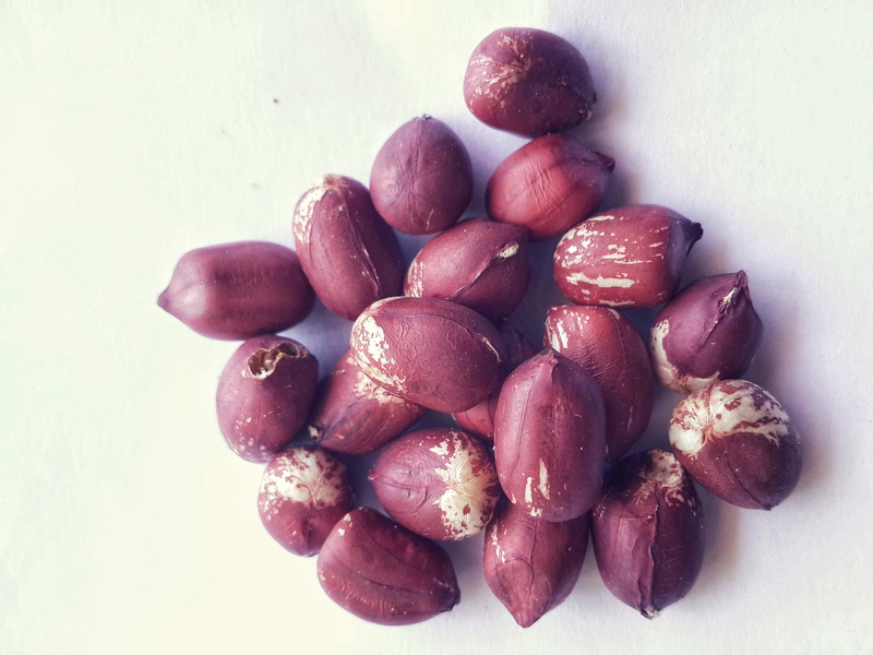 no people, still life, backround, nature, seed, ground, group, large group of objects, ground-nuts, red, legume, wellbeing, indoors, studio shot, peanut