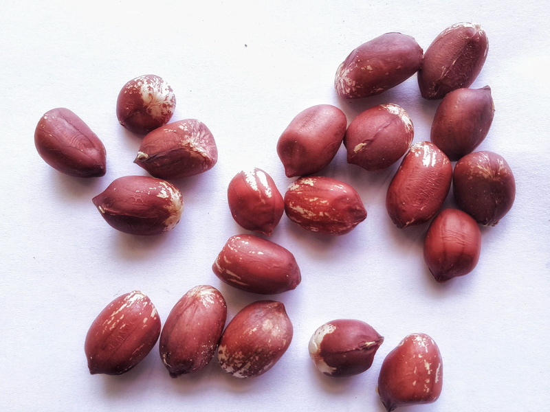 groundnuts, fruit, no people, earthnuts, white background, sweet food, peanuts, healthy eating, close-up, isolated, temptation, large group of objects