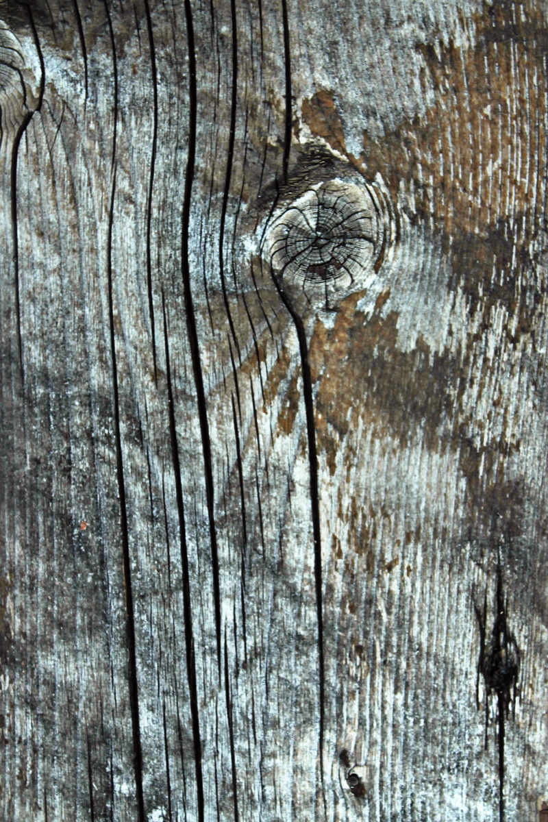 2K, pattern, full frame, tree, trunk, plant, textures, old, natural pattern, tree trunk, plank, close-up, knotted wood, textured effect, cracked, weathered