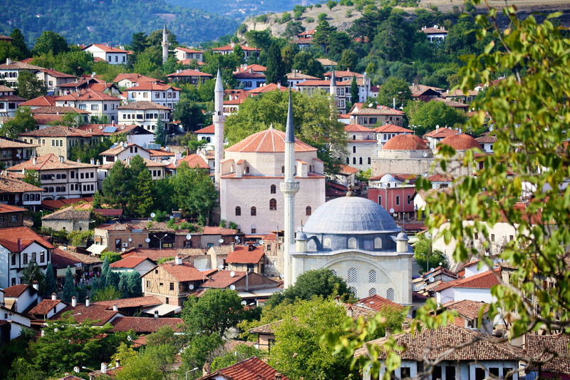 home, mansion, townscape, tree, houses, day, travel, minaret, on, religion, old, place of worship, no people, architecture, outdoors, built structure, plant
