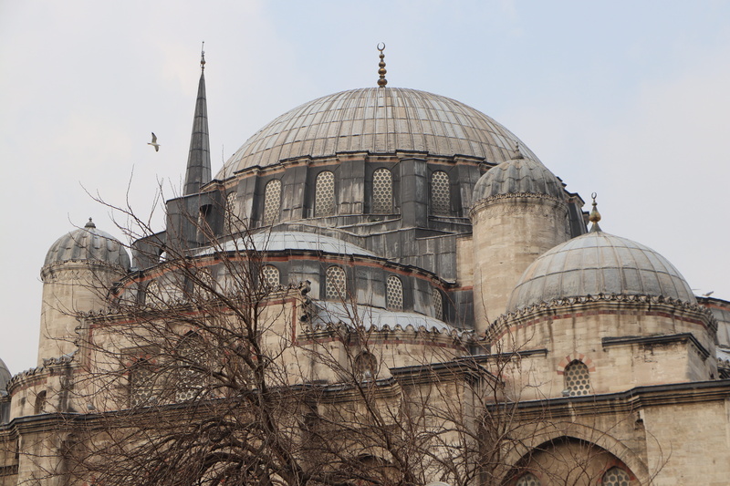 religion, day, spirituality, old, no people, arch, worship, tourism, minaret, faith, nature, outdoors, jewish, beautiful, dome, bare tree, low angle view