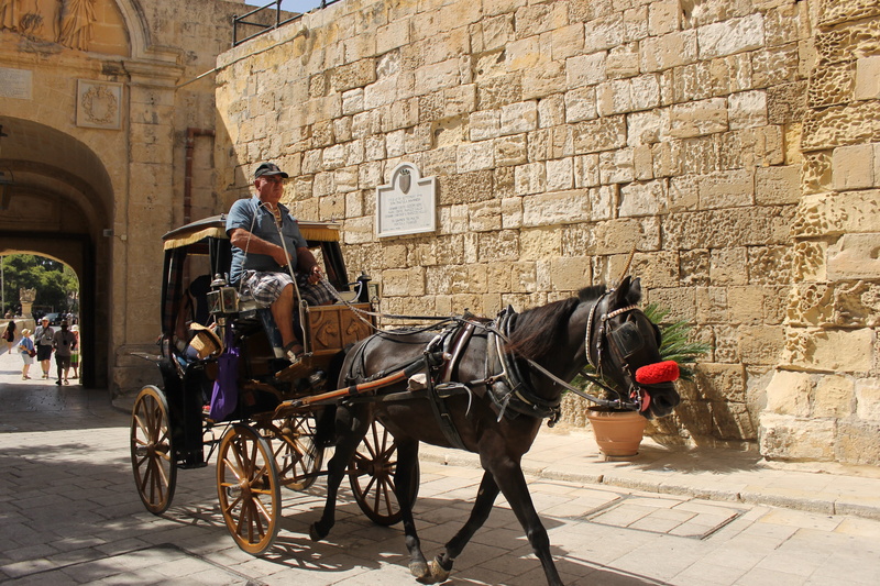working animal, architecture, wall, herbivorous, domestic, built structure, maltese, riding, near, domestic animals, horse, juego de tronos, town, mammal