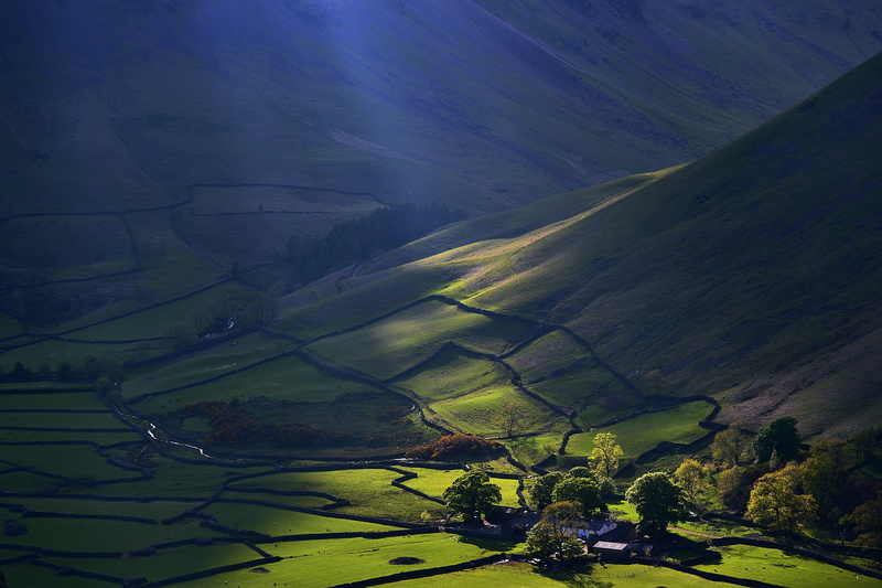 rural scene, idyllic, land, scenics - nature, 4K, beauty in nature, outdoors, aerial, tranquility, growth, plant, tranquil scene, day, environment, sun rays