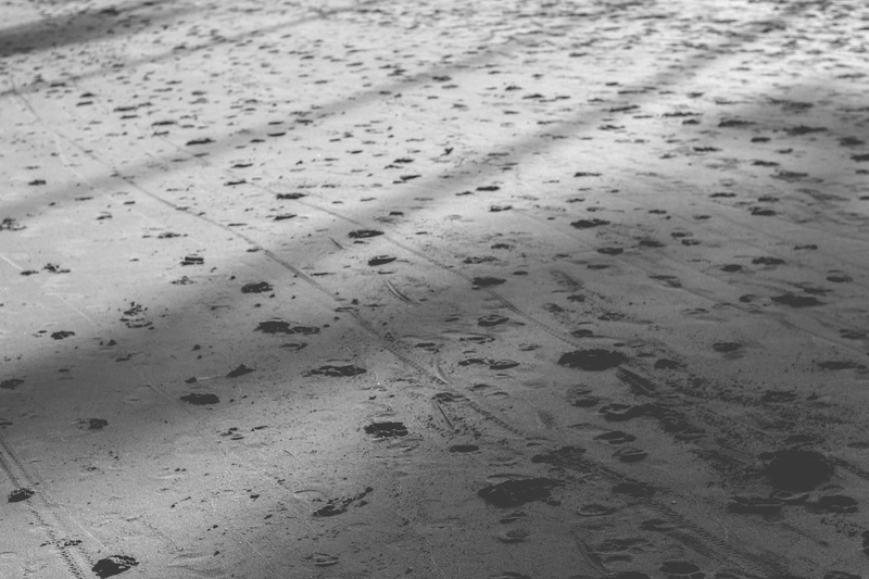 winter, pegada, pattern, backgrounds, 4K, footprint, beach, high angle view, playa, background, snow, land, close-up, print, praia, water, track - imprint