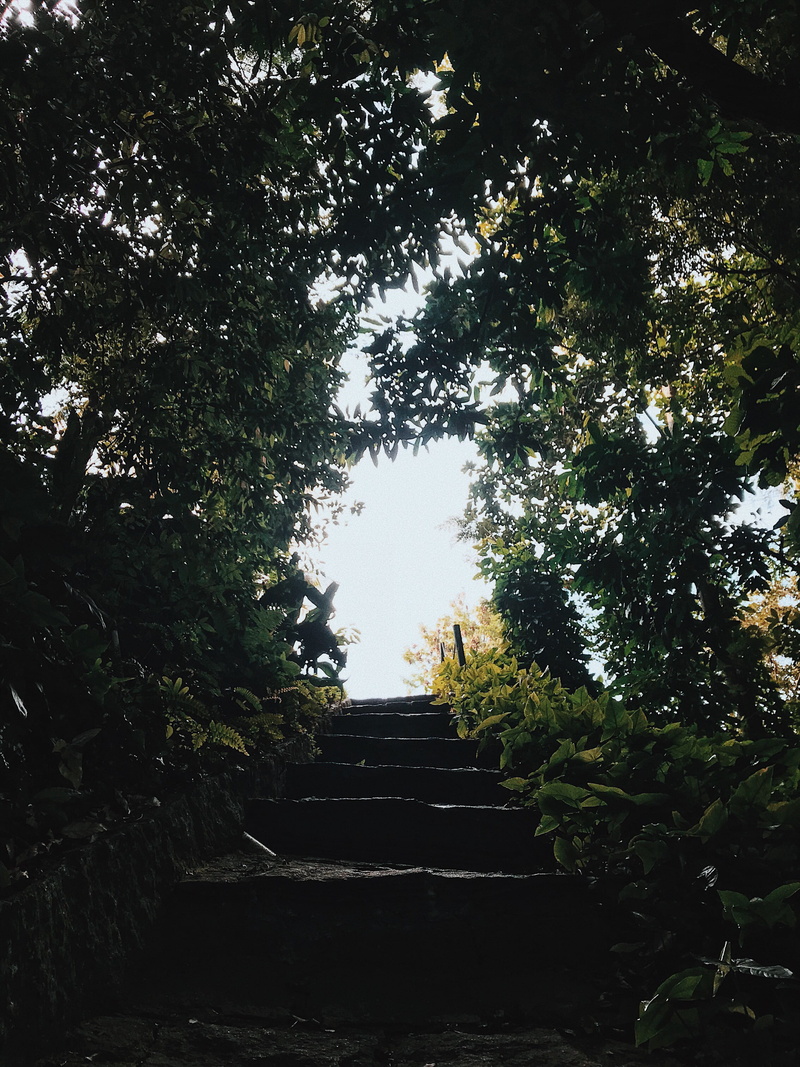 leblon, sky, direction, steps and staircases, brazil, low angle view, 2K, rj, architecture, trip, the way forward, tree, staircase, tranquility, tree canopy