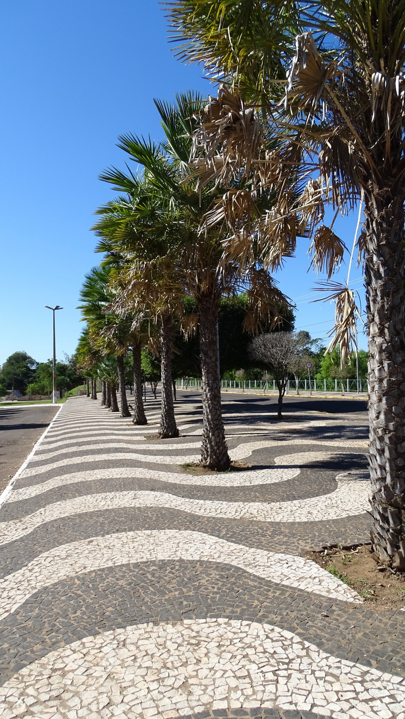 sky, 5K, copacabana, footpath, palm tree, plant, treelined, day, nature, no people, shadow, tree, city, tropical climate, sidewalk, direction, the way forward