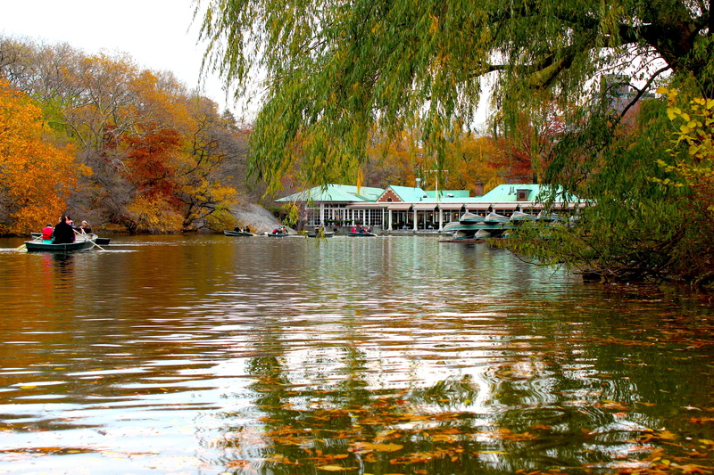 architecture, tree, 5K, nature, New York City, loeb, the lake, new york, no people, the loeb boathouse, mode of transportation, fall colors, nautical vessel