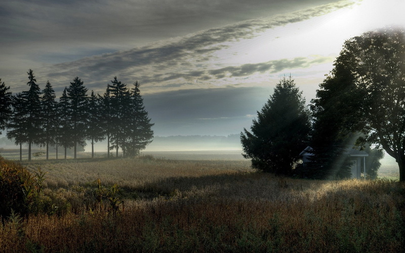 hd, nature, shed, 720P, field, trees, cg, sunlight