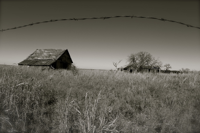 grayscale, field, house, rural Scene, barn, no People, farm, abandoned, 5K, old, green, photography