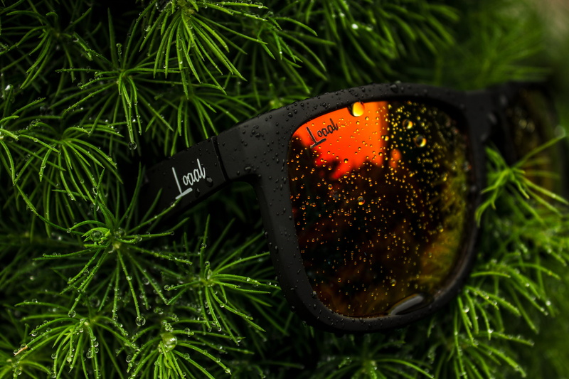 western script, text, herb, fire, 5K, growth, sign, plant part, leaf, burning, close-up, outdoors, iasi, plant, tree, communication, drops, product, no people