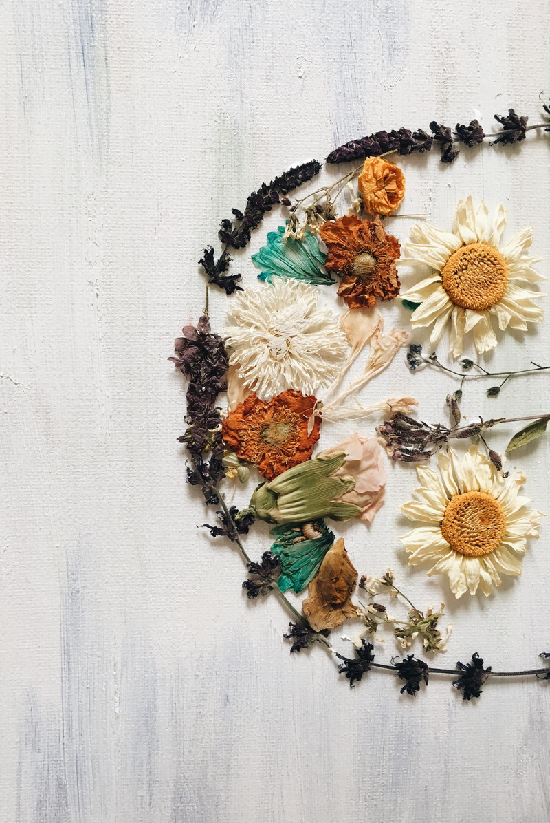 ingredient, eyes, dryflower, healthy eating, variation, love, no people, freshness, indoors, art, herb, choice, flowers, wood - material, flower, couple