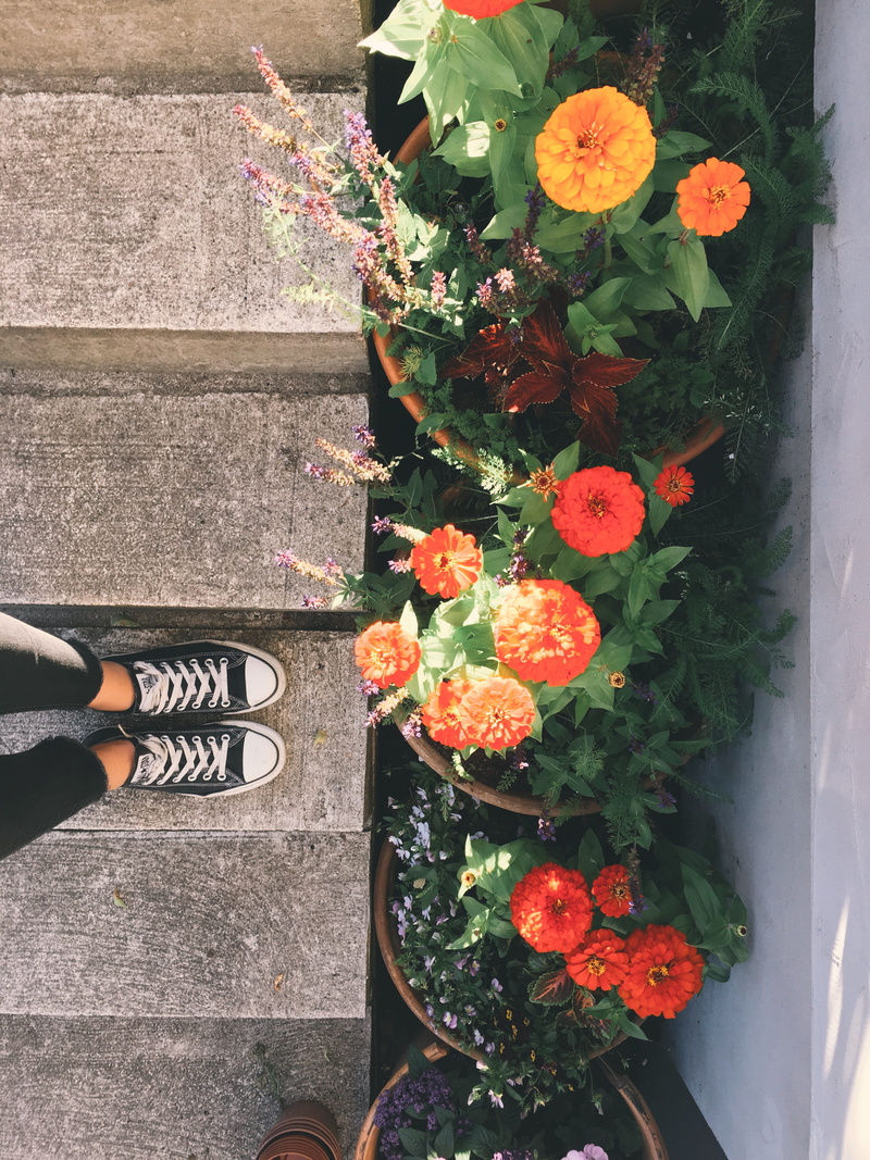 human leg, growth, human foot, fragility, amsterdam, california, vsco, beauty in nature, warsaw, flower head, vulnerability, directly above, warszawa, color
