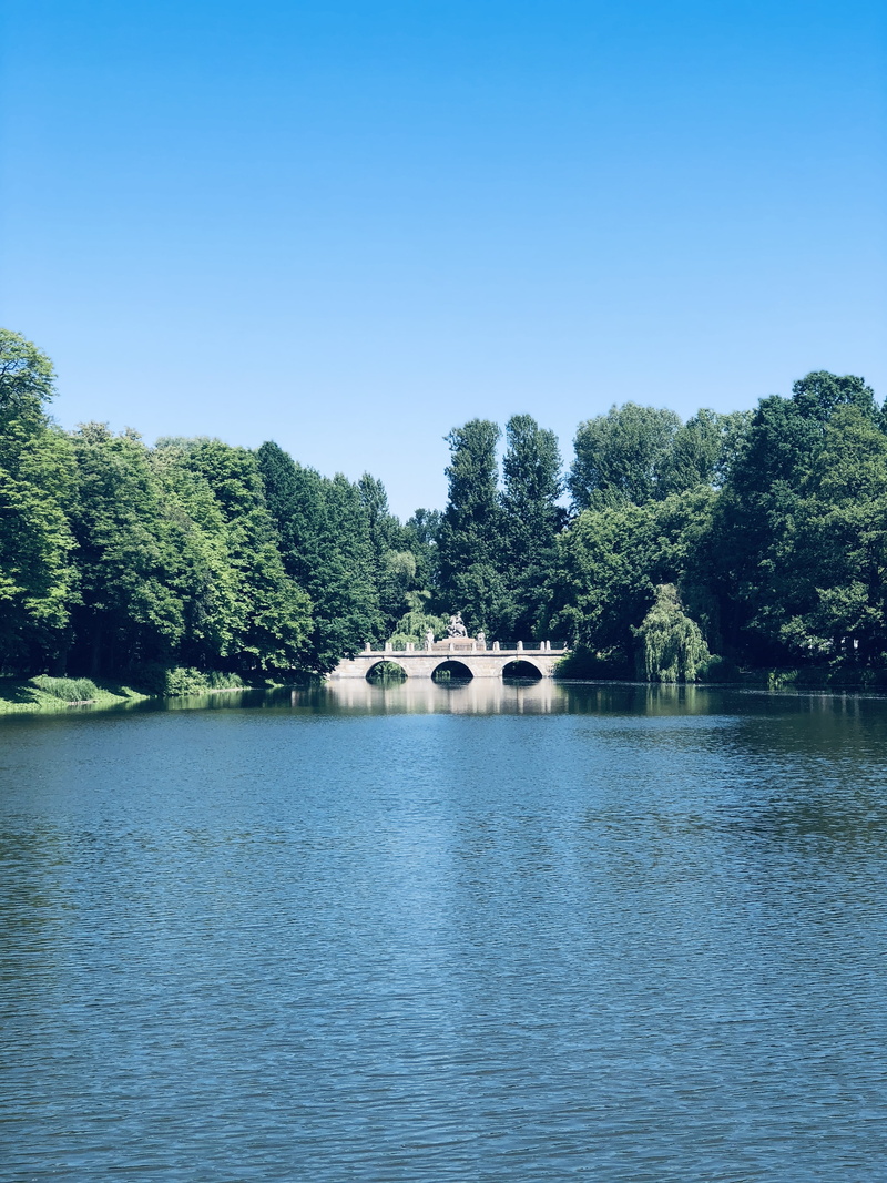growth, lake, no people, castle, 4K, scenics - nature, waterfront, plant, reservoir, clear sky, architecture, copy space, countryside, nature, day, building