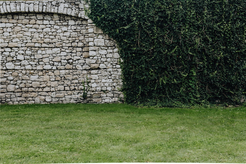polish, wall, cracow, grass, capital, no people, karkow, land, polska, wall - building feature, growth, magic, stone material, outdoors, first, stone wall