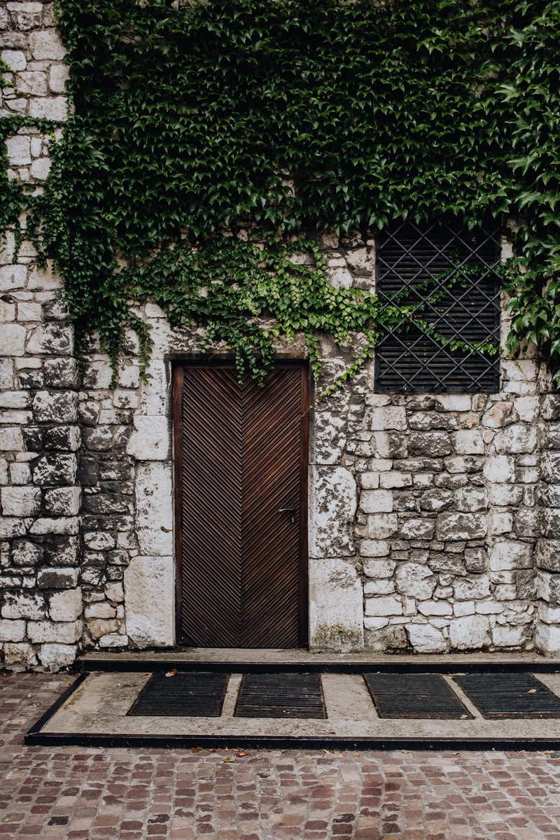 growth, building exterior, Europe, karkow, no people, capital, house, architecture, magic, 5K, brick, building, nature, window, plant, cracow, outdoors