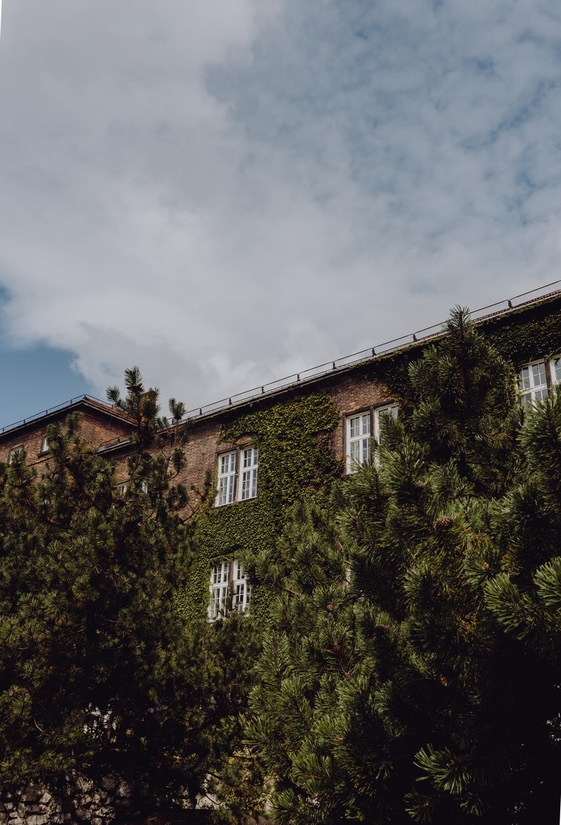window, city, polish, plant, first, Poland, building, sky, polska, residential district, capital, cloud - sky, green color, built structure, building exterior