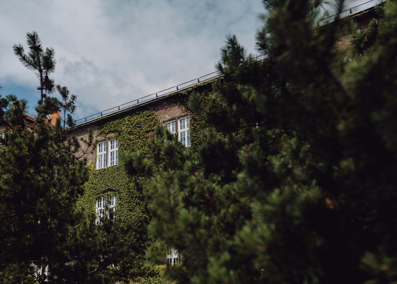 land, Poland, growth, capital, first, green color, city, 4K, low angle view, no people, travel, plant, Europe, karkow, building exterior, residential district