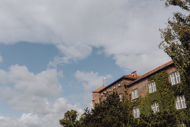 tree, capital, building, day, karkow, polska, town, outdoors, growth, sky, high section, residential district, beauty in nature, cracow, blue, built structure