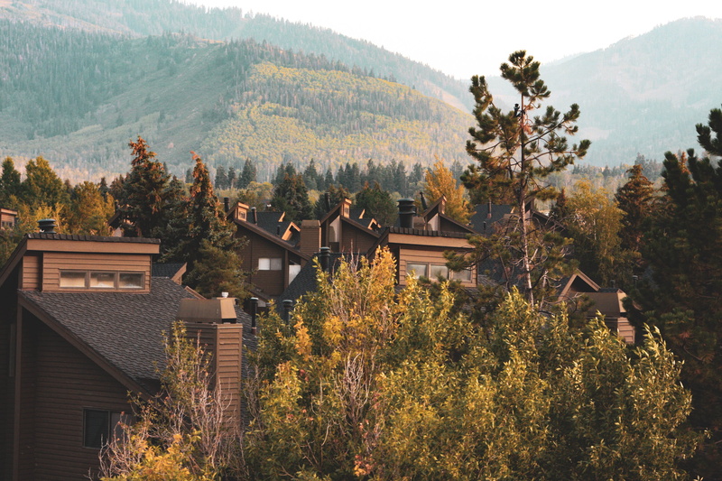 no people, beauty in nature, 4K, roof, scenics - nature, realestate, real estate, tree, building, trees, growth, day, building exterior, nature, plant