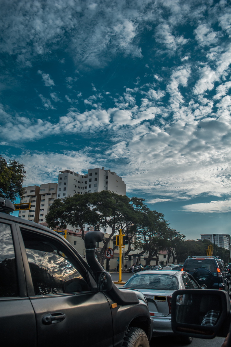 built structure, transportation, car, outdoors, day, road, land vehicle, traffic, lima, 5K, blue, no people, natural, tree, cars, love, building exterior