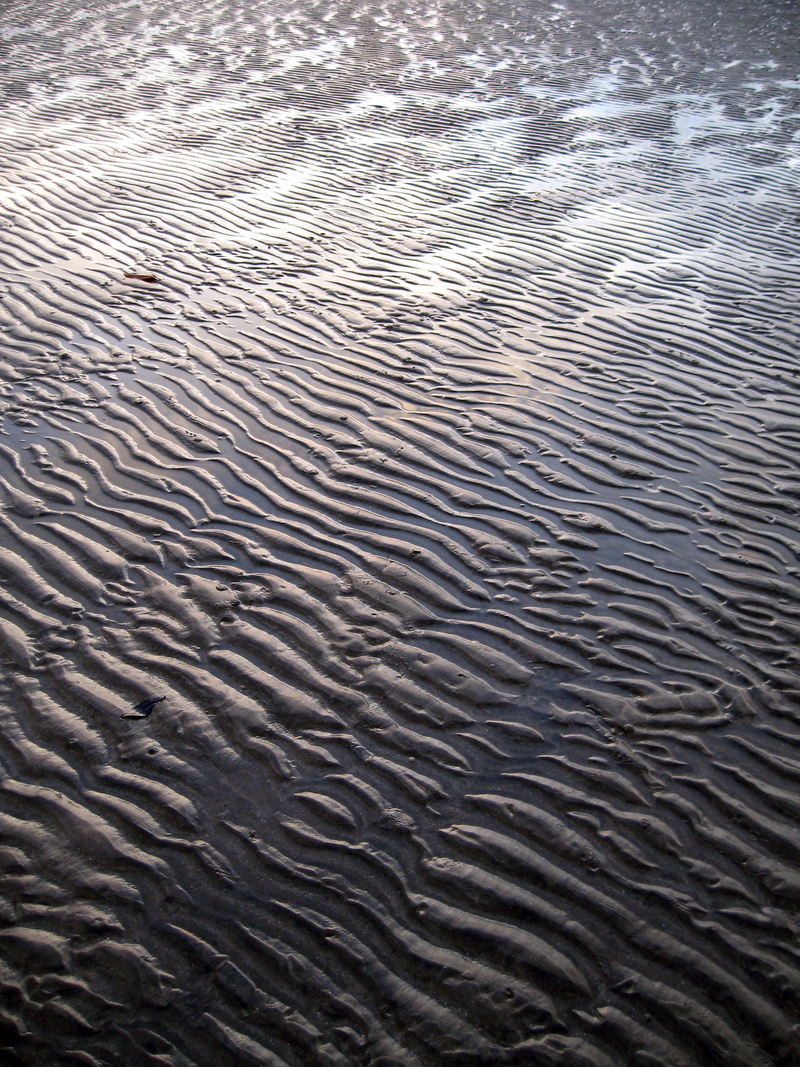 backgrounds, 2K, full frame, texture, wet, rippled, wave pattern, pattern, natural pattern, outdoors, beauty in nature, high angle view, day, sand, land