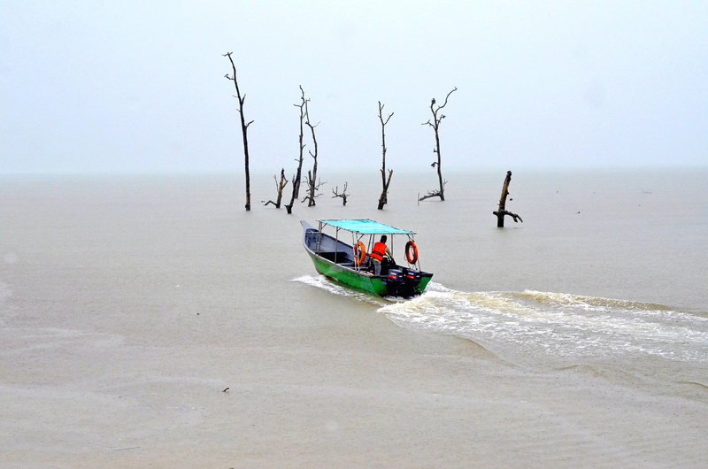 taman negara, boat, sarawak, water, beach, land, horizon over water, kuching, 4K, day, motion, borneo, nature, horizon, group of people, national park