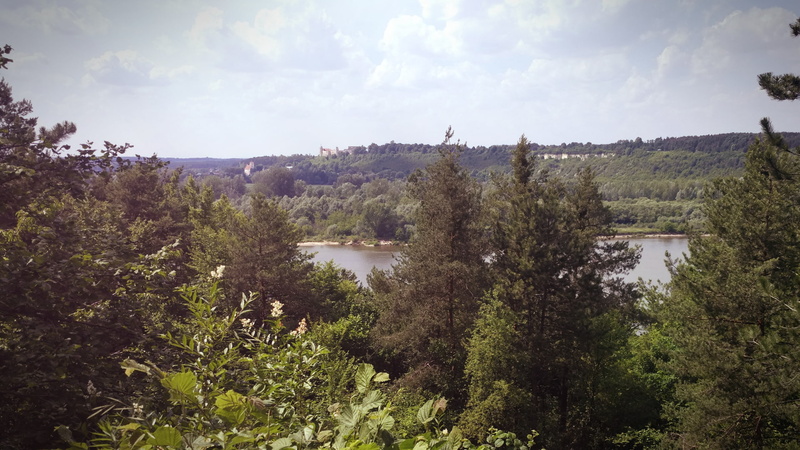 Poland, 1080P, river, Vistula, forest, landscape