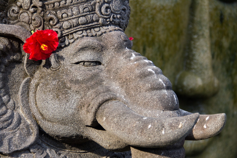 balinese, sculpture, male likeness, the past, bali, plant, day, human representation, stone material, art and craft, ears, flowering plant, 5K, nature