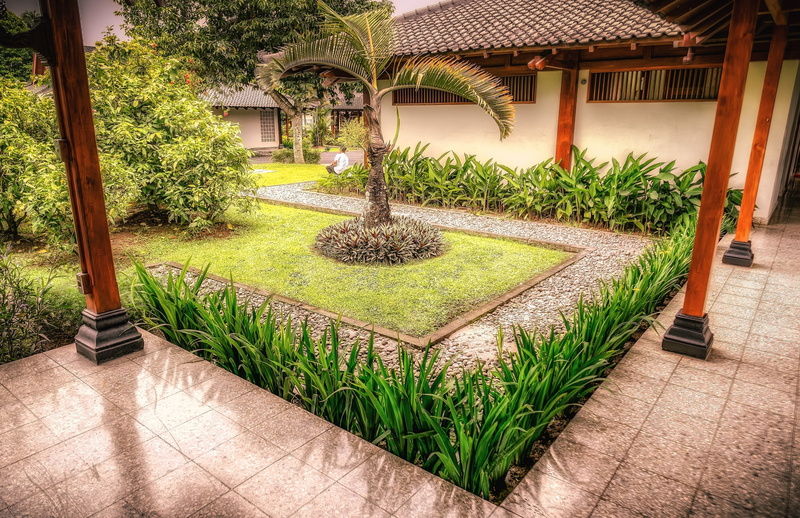 flooring, growth, palm tree, 2K, courtyard, landscaped, beauty in nature, luxury, travel, architecture, tourism, nature, garden, bali, asia, no people