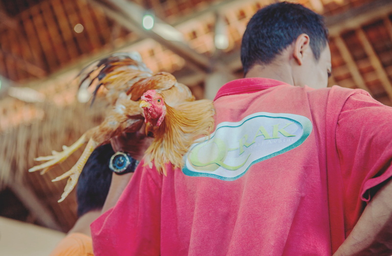 rear view, s, girl, beautiful, mammal, livestock, casual clothing, man, room, color, traditional, two people, domestic animals, chicken, religion, woman