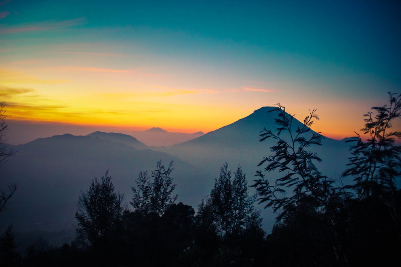 beauty in nature, tree, tranquil scene, landscapeview, mountain range, forest, plant, majestic, nature, landscape, non-urban scene, dieng, mountain, idyllic