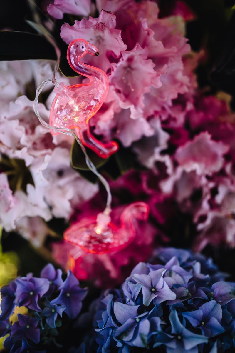 beauty In Nature, led, vulnerability, fun, day, hydrangea, maroon, inflorescence, lamp, Flamingo, rose - flower, flower, freshness, close-up, nature, party