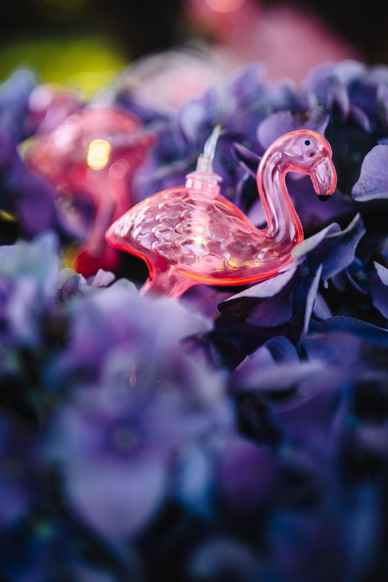 flower, no people, lamp, led, Flamingo, decoration, light, hydrangea, purple, underwater, marine, outdoors, rhododendron, pink, animal themes, freshness