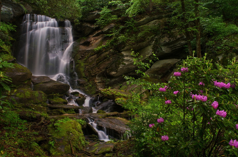 North Carolina, Seven Falls, Etowah, Bush, rocks, rhododendrons, 1080P, waterfall