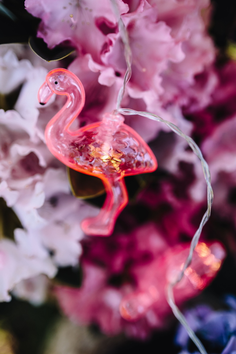 animal, fun, underwater, one animal, animal themes, Flamingo, no people, light, purple, 5K, selective focus, decoration, pink, inflorescence, hydrangea