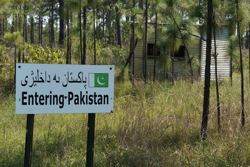 tree, message, green color, information sign, communication, south asia, border, geography, land, 1080P, outdoors, woodland, text, day, nation, entering