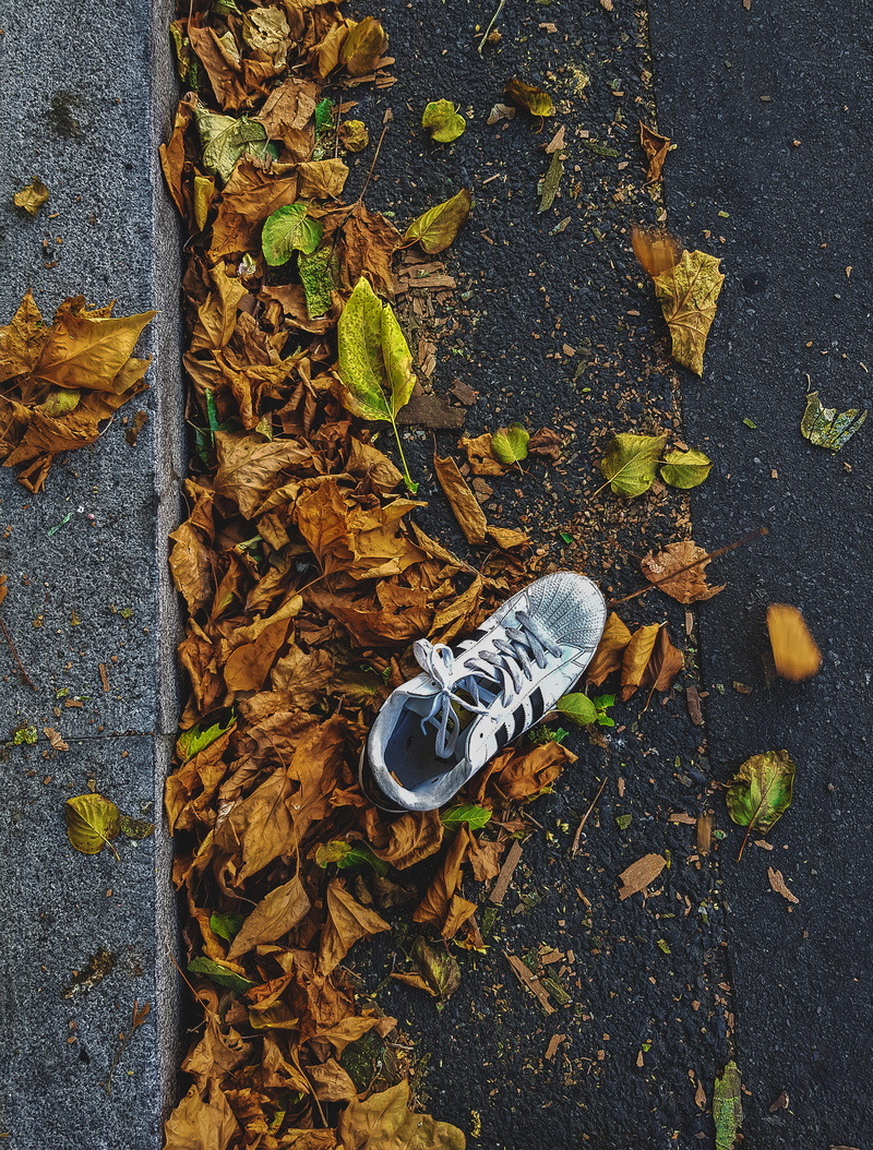 directly above, london, dry, shoes, art, autumn, plant part, painting, leaves, footwear, vulnerability, outdoors, street, clothing, footpath, field, no people