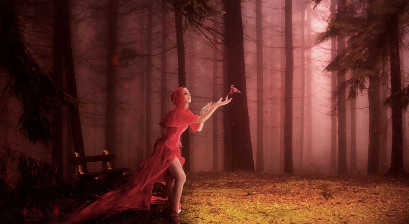 Trees, Creative, Aero, woman, Bird, red, reddress, girls, 1080P, Forest