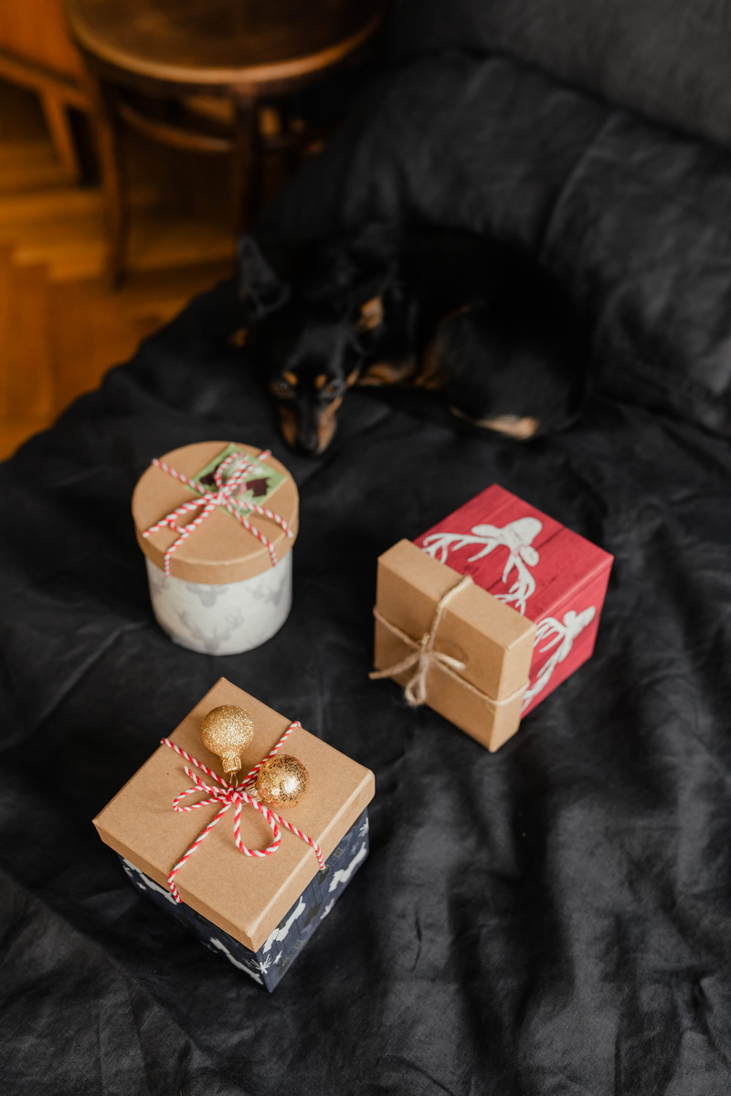 xmas, freshness, bedding, bedroom, cute, animal, indulgence, indoors, present, december, still life, gift box, bed, temptation, on bed, box - container