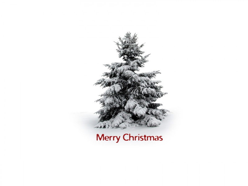 720P, tree, hd, christmas, christmastree, snow