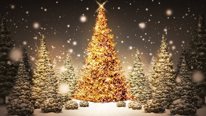 christmastree, glowing, trees, christmas, hd, 1080P
