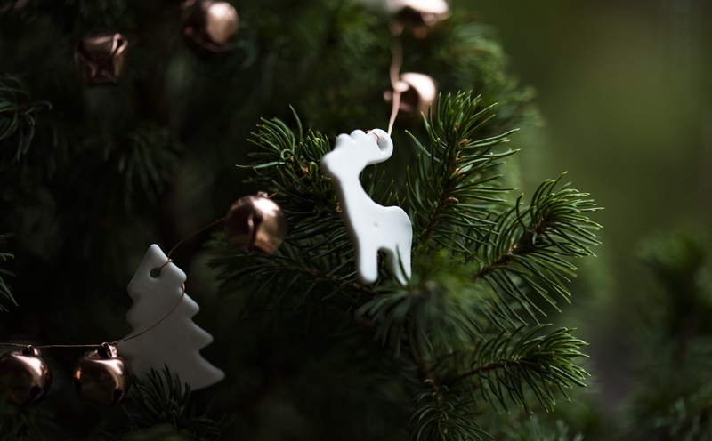 Cute, christmas tree, Season, day, Holidays, outdoors, representation, pine tree, nature, close-up, animal, Decoration, celebration, mammal, coniferous tree